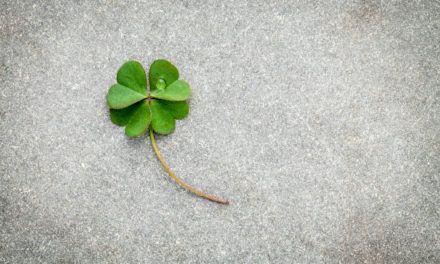 Everyone Knows About Four-Leaf Clover Superstitions