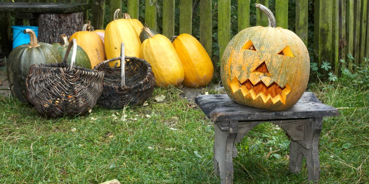 Coming up With Great Halloween Yard Decoration Ideas
