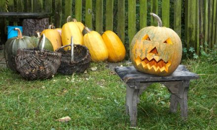 Coming up With Great Halloween Yard Decoration Ideas
