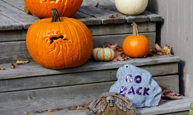 Perfect Halloween Home Décor