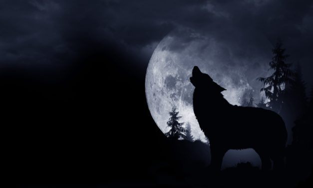 Werewolves