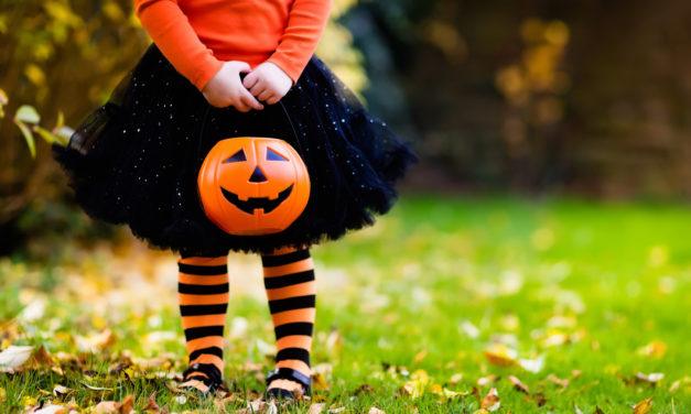 Halloween Decorations
