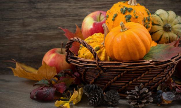 Gift Ideas for the Halloween Season